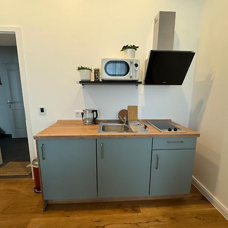 Boutique Hotel Pension Luisengruen Kueche 1Gbs Wlan Netflix Disney Magentatv Chemnitz Exteriör bild
