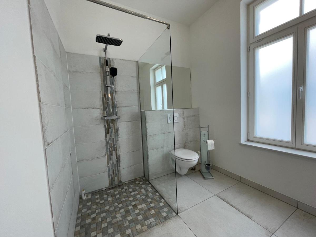 Boutique Hotel Pension Luisengruen Kueche 1Gbs Wlan Netflix Disney Magentatv Chemnitz Exteriör bild
