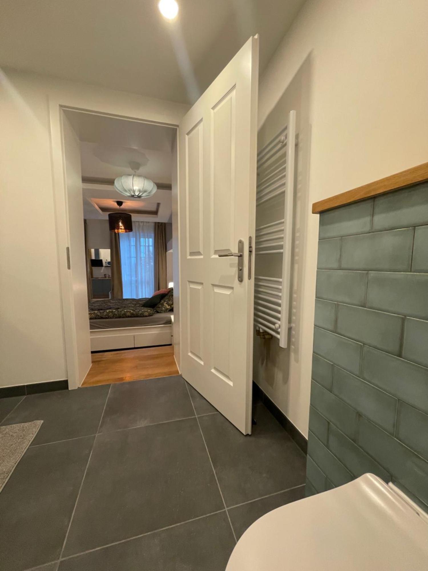 Boutique Hotel Pension Luisengruen Kueche 1Gbs Wlan Netflix Disney Magentatv Chemnitz Exteriör bild