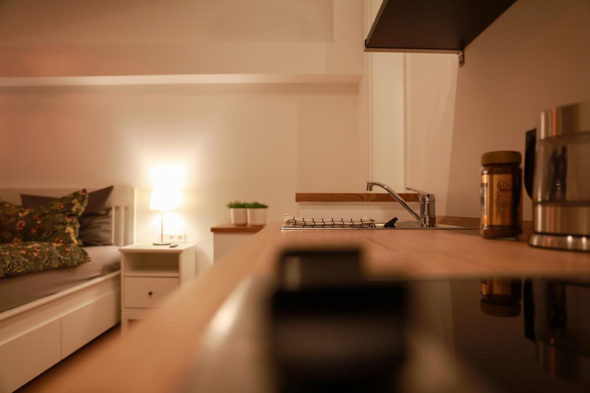 Boutique Hotel Pension Luisengruen Kueche 1Gbs Wlan Netflix Disney Magentatv Chemnitz Exteriör bild