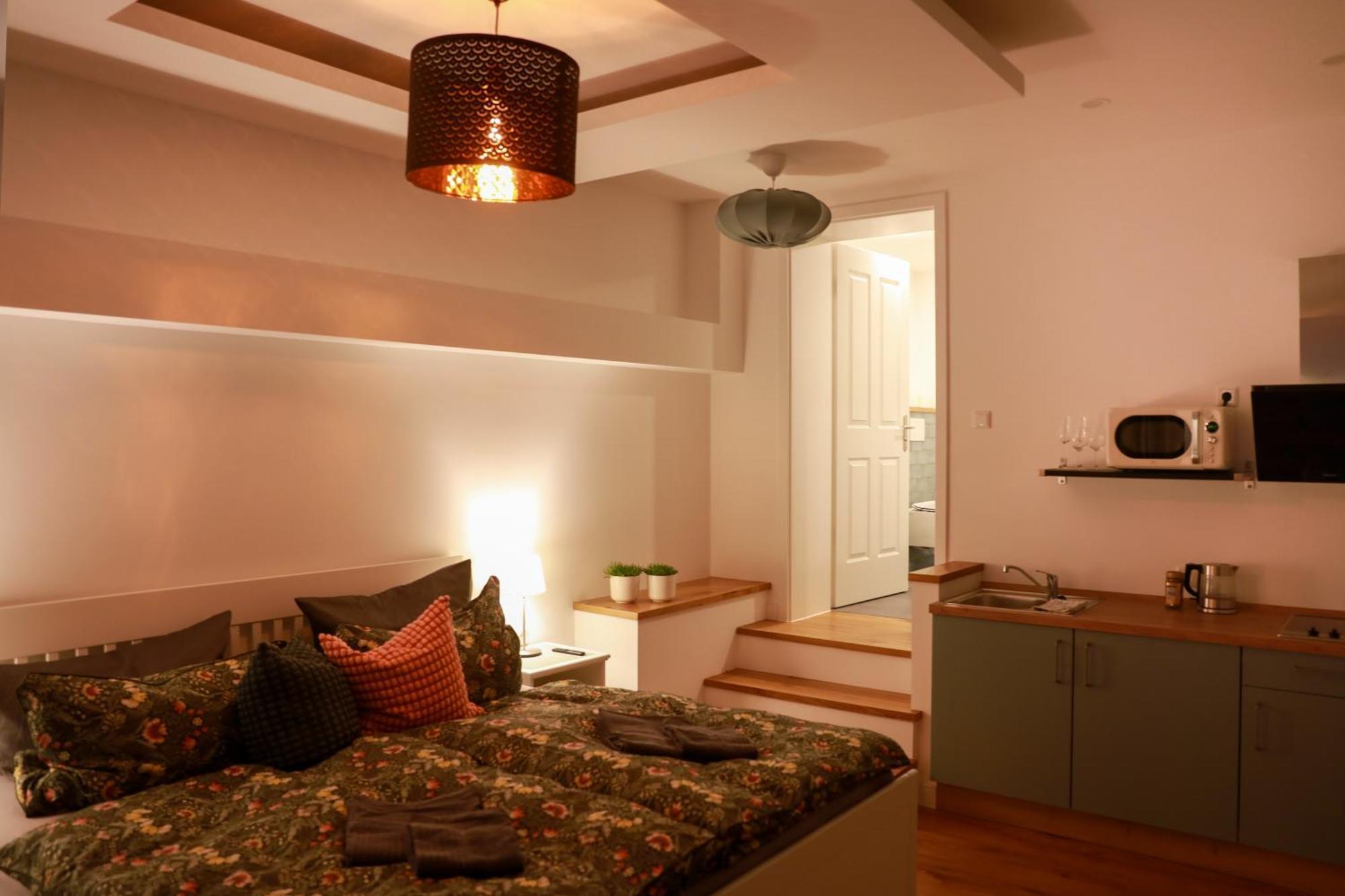Boutique Hotel Pension Luisengruen Kueche 1Gbs Wlan Netflix Disney Magentatv Chemnitz Exteriör bild
