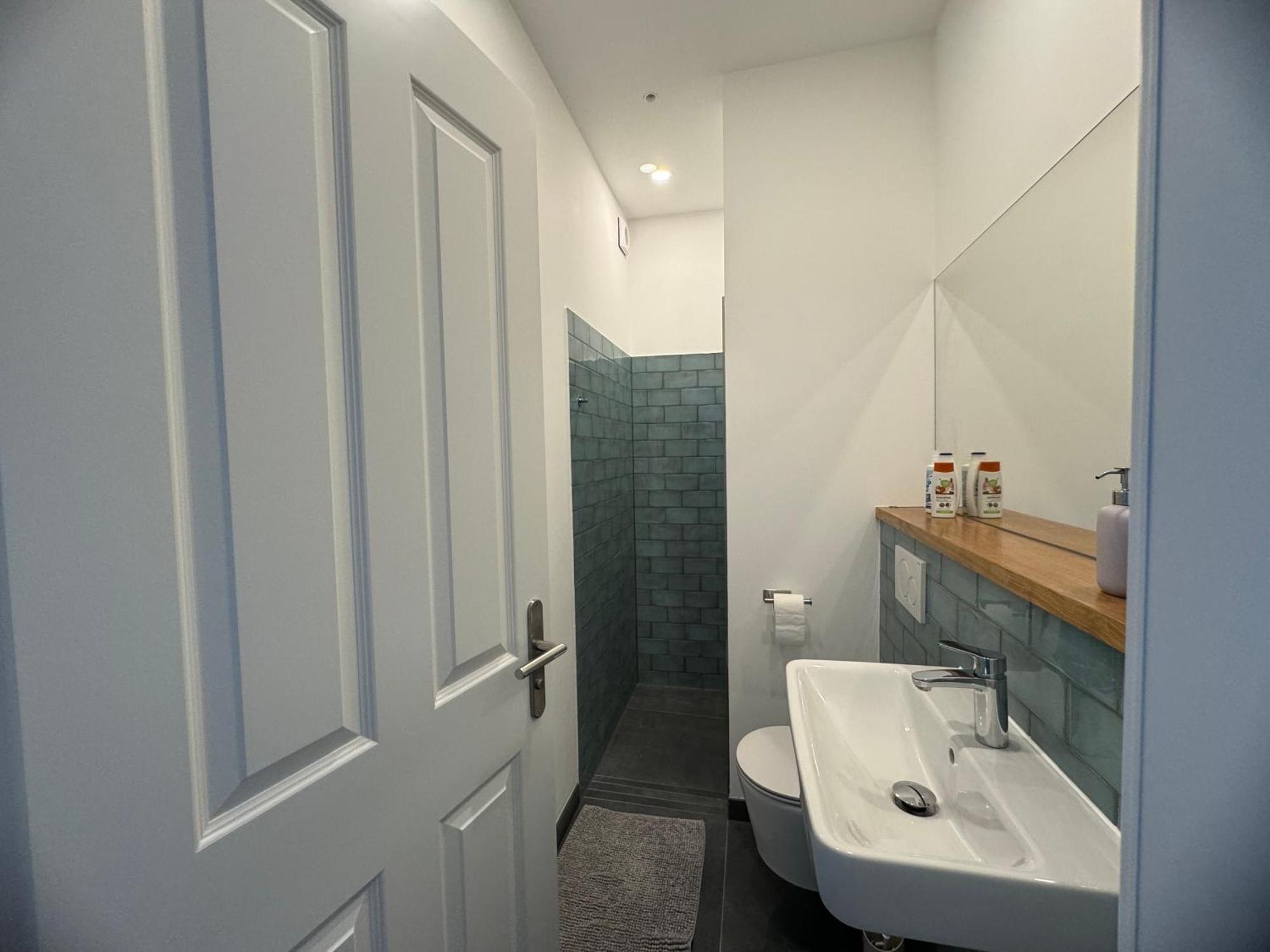 Boutique Hotel Pension Luisengruen Kueche 1Gbs Wlan Netflix Disney Magentatv Chemnitz Exteriör bild