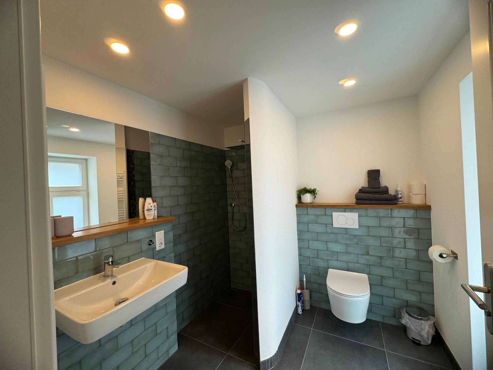Boutique Hotel Pension Luisengruen Kueche 1Gbs Wlan Netflix Disney Magentatv Chemnitz Exteriör bild